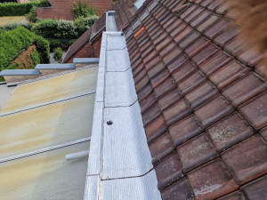 Nettoyage de gouttières à Niort